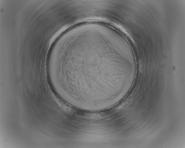 X0000075831229200610151512