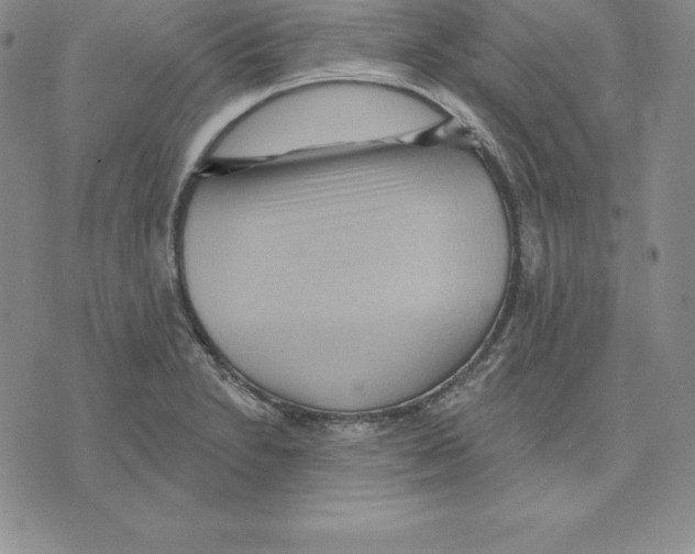 X0000075831230200610151512