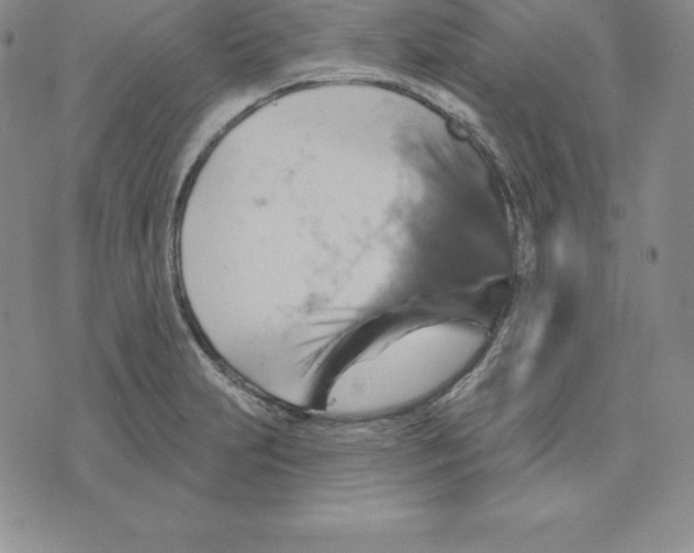 X0000075831231200610151512