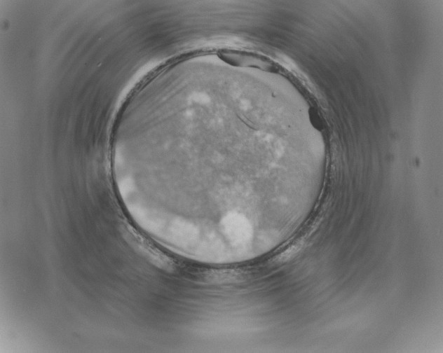 X0000075831232200610151512