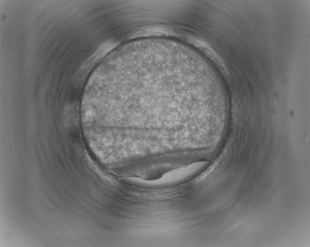 X0000075831233200610151512