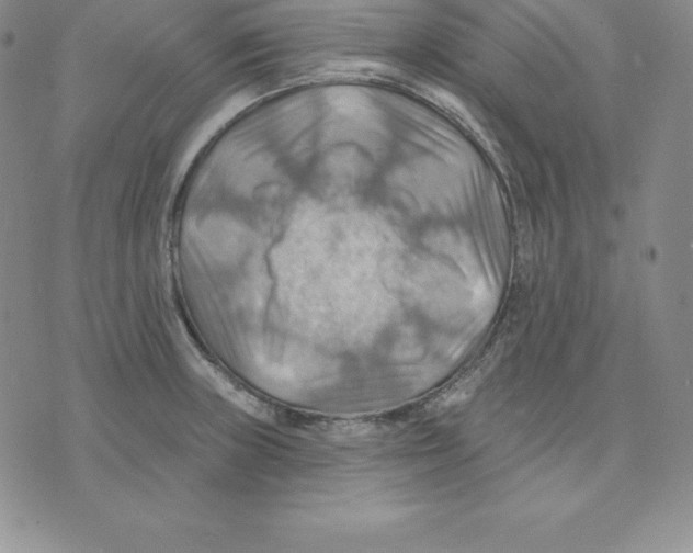 X0000075831235200610151512