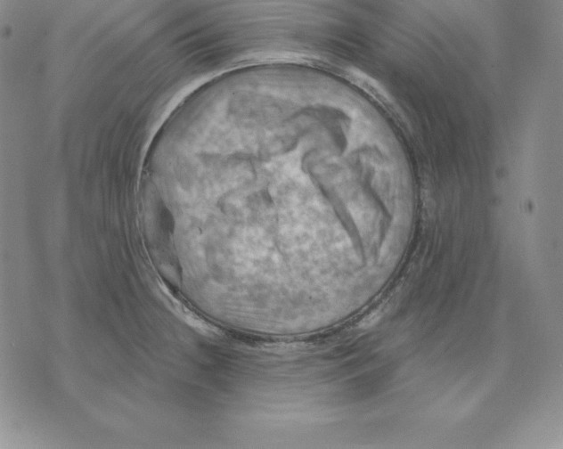 X0000075831236200610151512