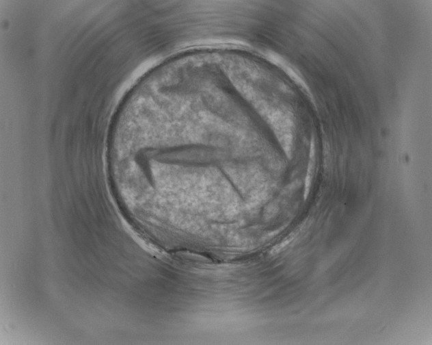 X0000075831237200610151512