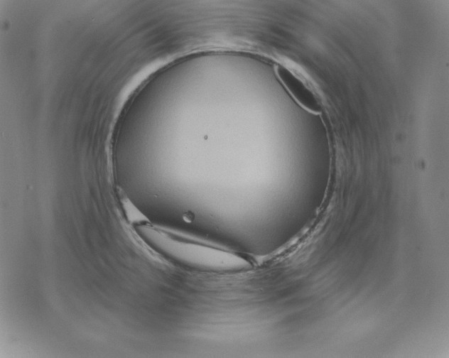 X0000075831238200610151512