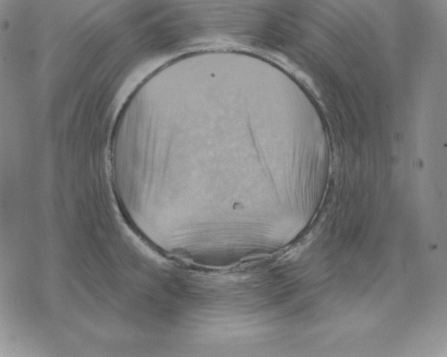 X0000075831239200610151512