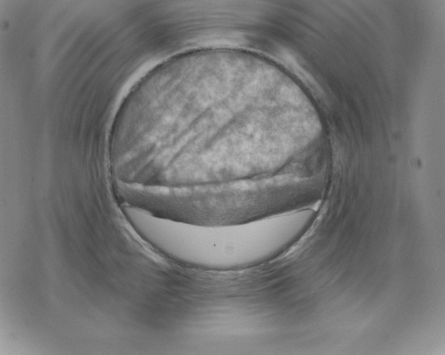 X0000075831240200610151512