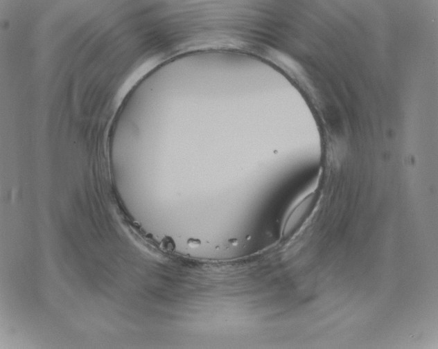 X0000075831242200610151512