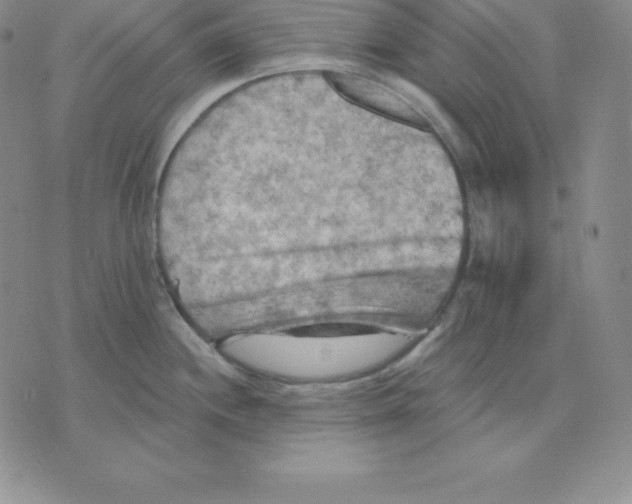 X0000075831244200610151512