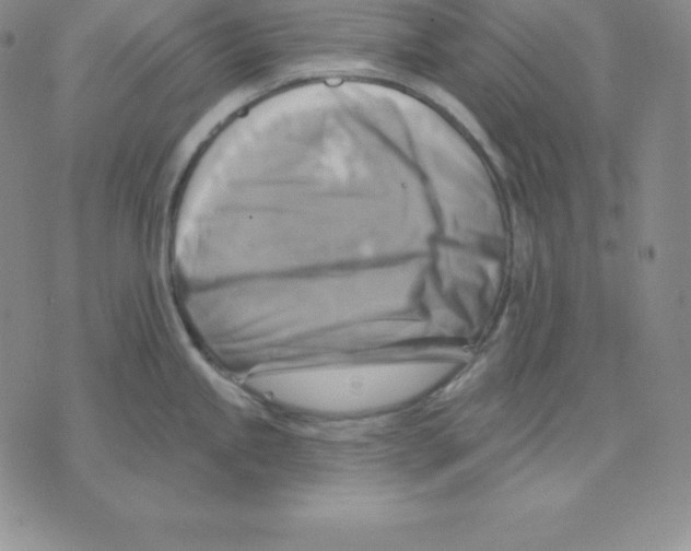 X0000075831245200610151512