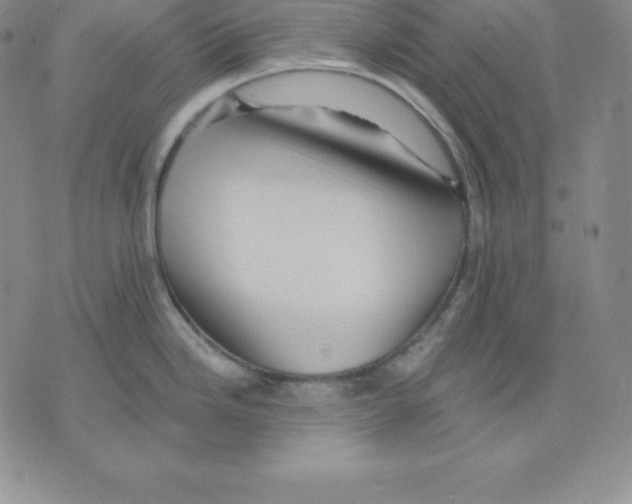 X0000075831246200610151512