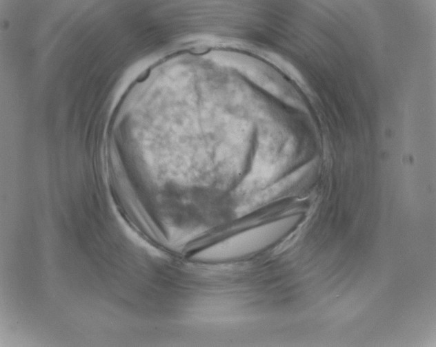 X0000075831247200610151512