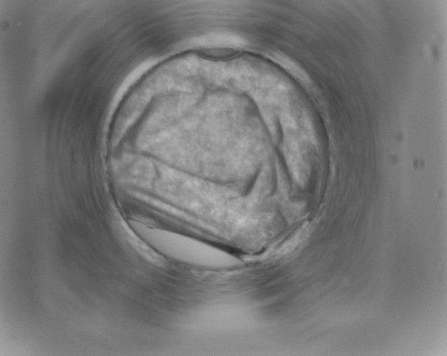 X0000075831248200610151512