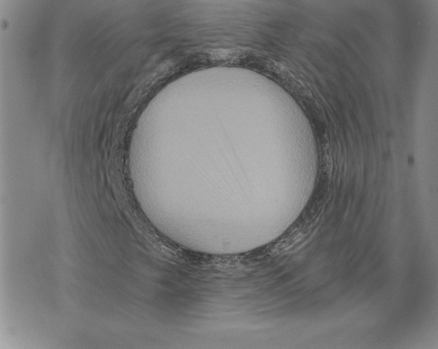 X0000075831249200610151511