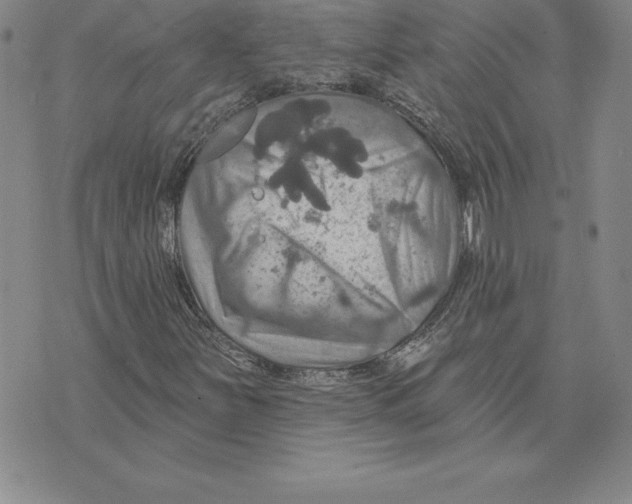 X0000075831251200610151511