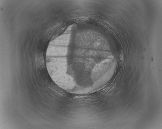 X0000075831252200610151511