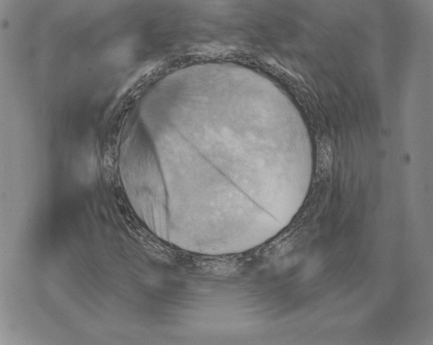 X0000075831254200610151511