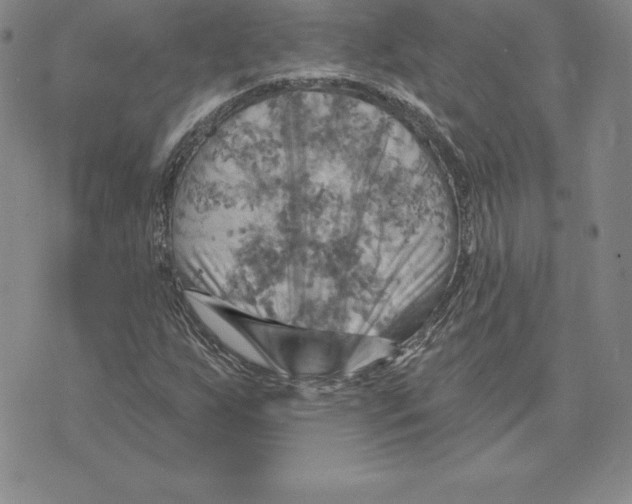 X0000075831255200610151511