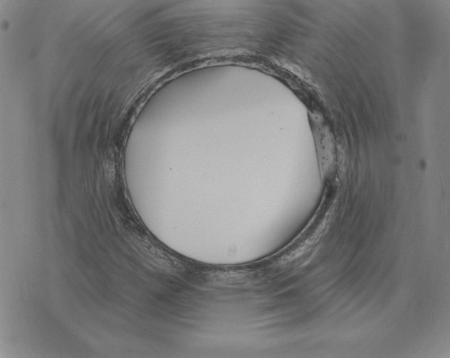 X0000075831257200610151511