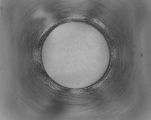 X0000075831258200610151511