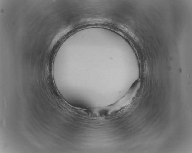 X0000075831261200610151511