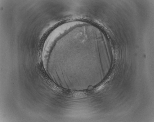 X0000075831262200610151511