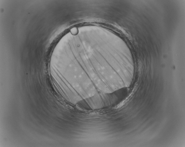 X0000075831263200610151511