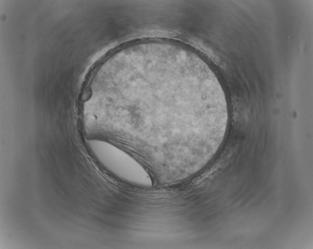 X0000075831264200610151511