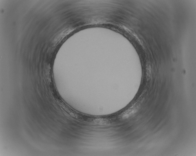 X0000075831265200610151511