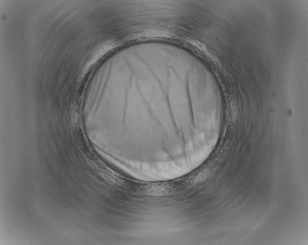 X0000075831266200610151511