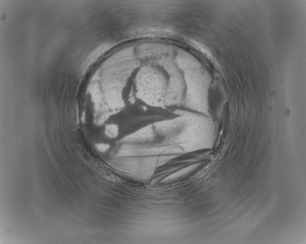 X0000075831267200610151511