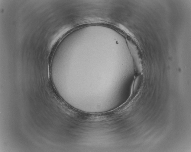 X0000075831269200610151511