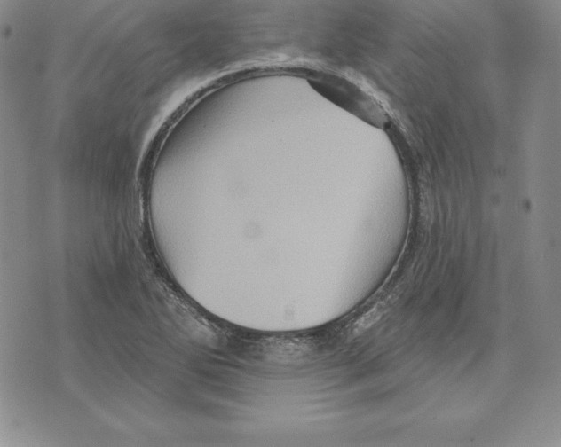 X0000075831270200610151511