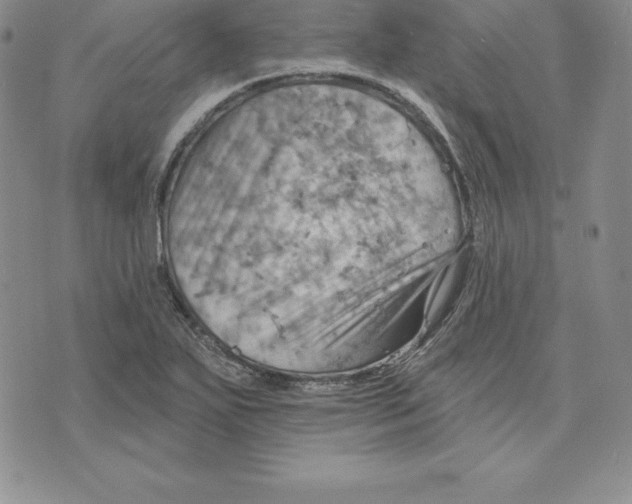 X0000075831271200610151511