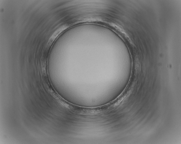 X0000075831273200610151511