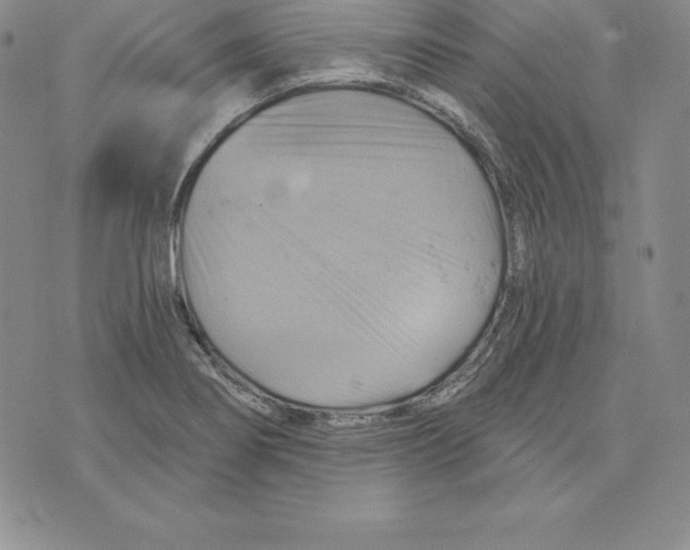 X0000075831274200610151511