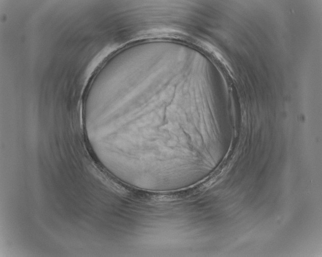 X0000075831275200610151511