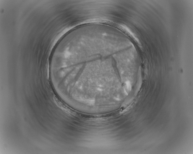 X0000075831276200610151511