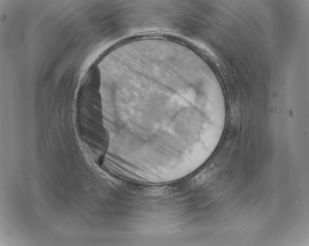 X0000075831279200610151511