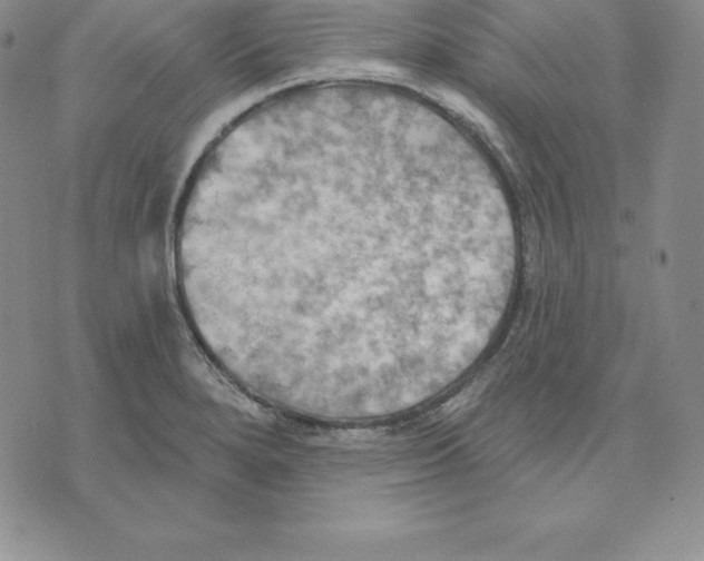 X0000075831280200610151511