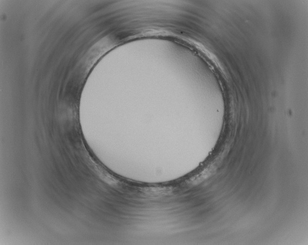 X0000075831281200610151511