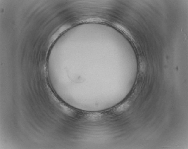 X0000075831282200610151511