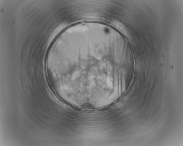 X0000075831283200610151511