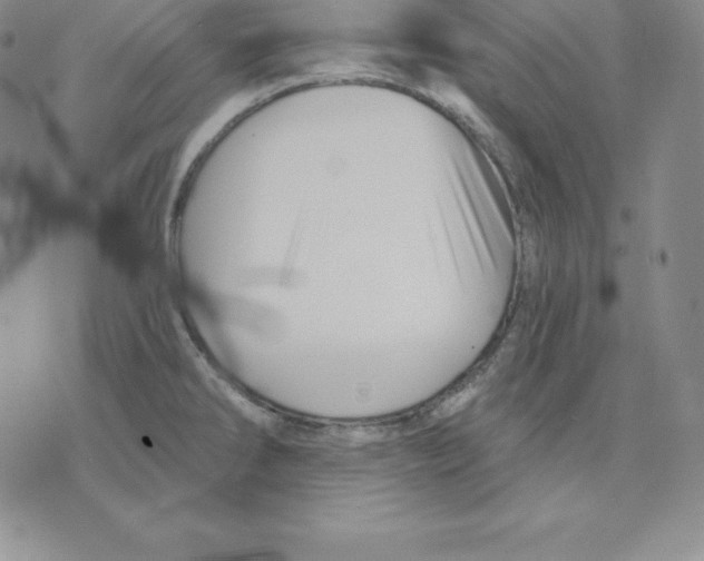 X0000075831286200610151511