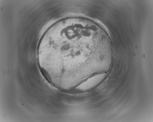 X0000075831287200610151511