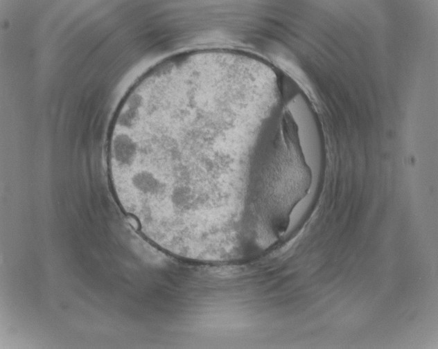 X0000075831288200610151510