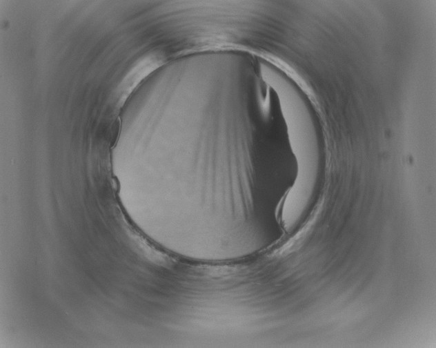 X0000075831289200610151510