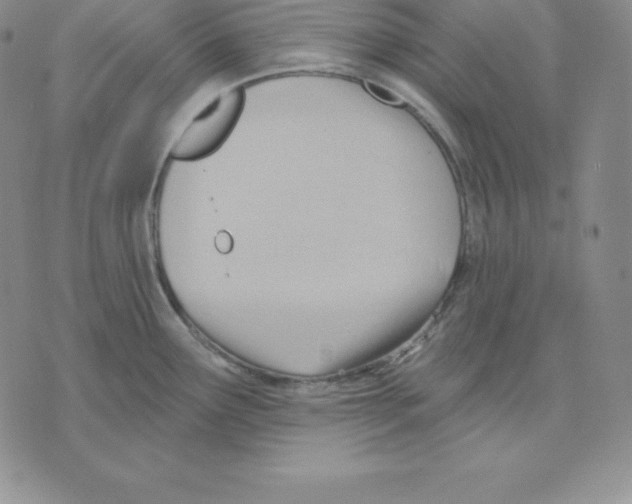 X0000075831291200610151510