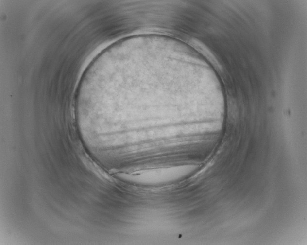 X0000075831292200610151510