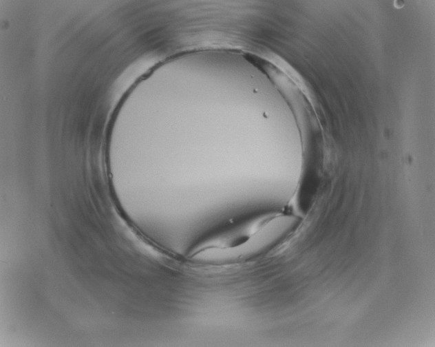 X0000075831293200610151510